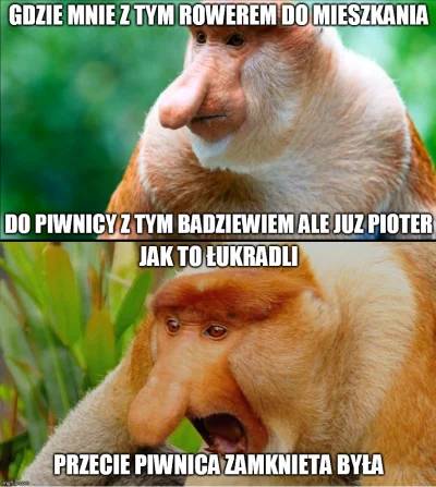gangag - #polak #rower #humorobrazkowy #heheszki