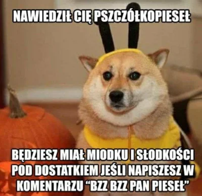 Czikita113 - Miłego dnia wykopki <3 
#heheszki #smiesznypiesek #humorobrazkowy