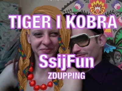sensuel - A tak każdy się śmieje z Tigera i Kobry ;< #zduping #heheszki #youtube
