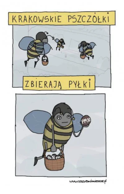 recenzor - #krakow #smog #pszczoly #humorobrazkowy