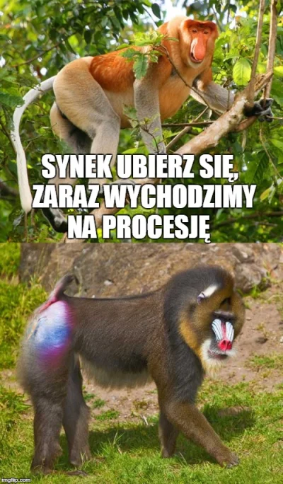 JezelyPanPozwoly - #polak #heheszki