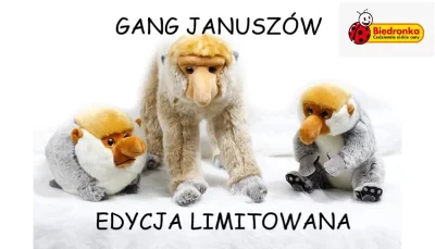 nosacz123456 - #janusze #nosacze #biedronka #gang #heheszki #memy