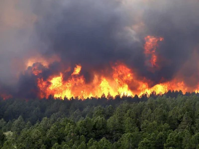 bool_bool - Ktoś pytał, czy dalej się pali las na Syberii? Tak, nadal płonie jakieś 4...