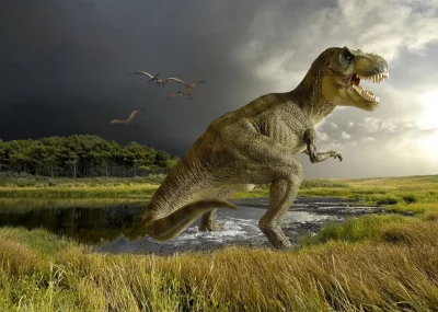 w.....z - Dinozaur na piąteczek! ;)

Wołajo: @gramwmahjonga @uchate @wspodnicynamtb @...