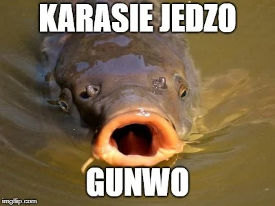 p.....k - #heheszki #humorobrazkowy #swieta #bojowkakarpia