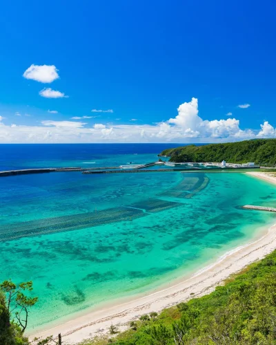 ama-japan - A dziś Okinawa wygląda tak. W tym tygodniu jest bardzo ciepło i pogodnie,...
