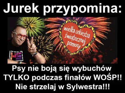 w.....z - #wosp #sylwester #psy #zwierzaczki #petardy #fajerwerki #rakcontent