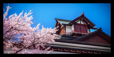 Lookazz - > ✿ Sakura/Cherry Blossom in Takayama, Japan ✿
#dzaponialokaca <=== wiadomo...
