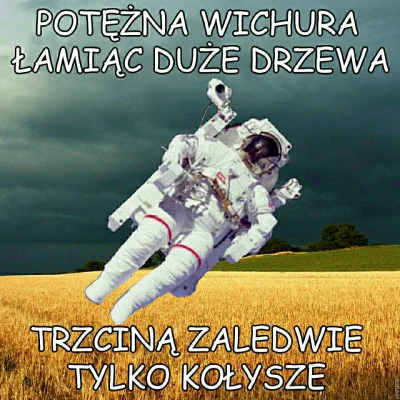 Burzuazja