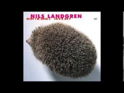 excavator - @excavator: #muzyka #muzykanadobranoc #lepszeodoryginalu
Nils Landgren -...