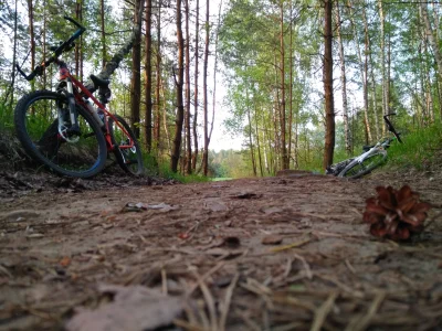 badylord - Krótka wycieczka jak praktycznie codziennie ostatnim czasem. Niestety stra...