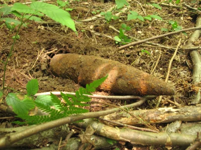 hogancool - Spędziłem przed kilkoma laty 4 tygodnie na obozie harcerskim w Hucie Pola...