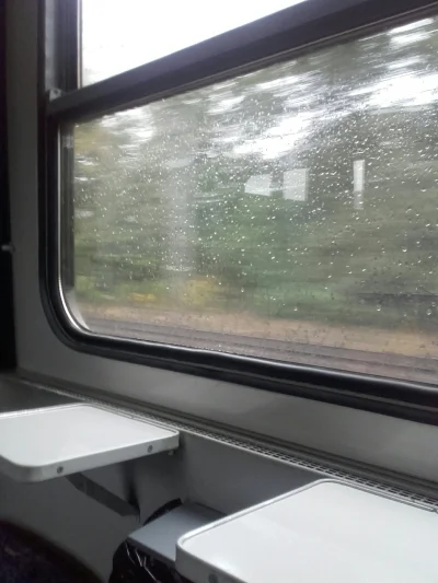 Pippo - Idealna pogoda na jazdę pociągiem (｡◕‿‿◕｡)
#pkp #pieknejestzycie