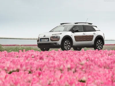 S.....X - #samochodyswiniacza - Citroen C4 Cactus

Jedzie sobie drogą dziwne auto, ...