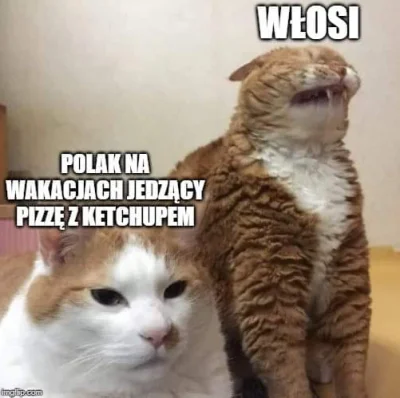 FlaszGordon - ( ͡° ͜ʖ ͡°)
#heheszki #humorobrazkowy #koty #mem #polska #wlochy #pizz...