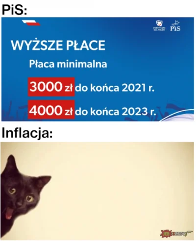 suddenly - @suddenly: #bekazpisu #polityka #polska #polakibiedakicebulaki #pracbaza #...