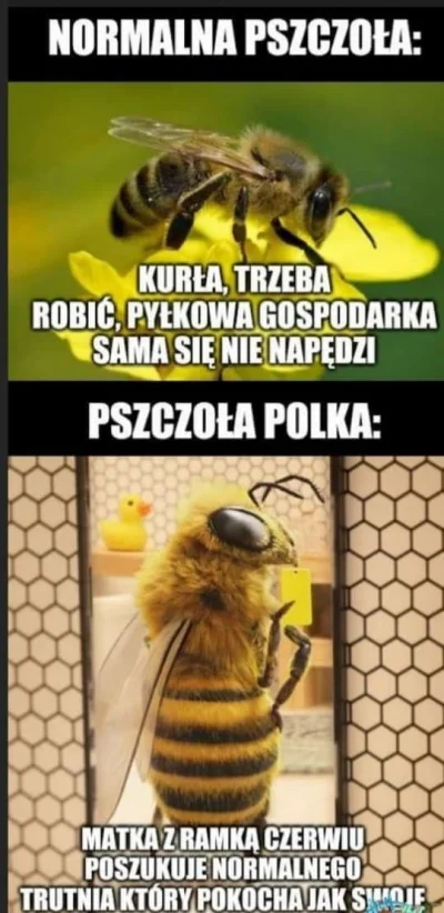 oxymirek - #heheszki #humorobrazkowy #p0lka