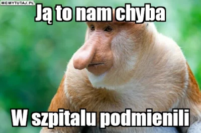 PawelW124 - #humor #heheszki #polak #nosaczsundajski #nosacz #dzieci