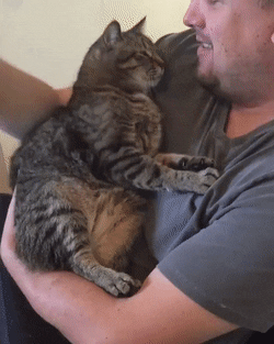 Koleandra - Człowiek też tulaj

Link ( ͡° ʖ̯ ͡°) https://gfycat.com/FlimsyAromaticB...