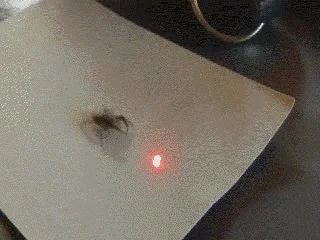 Mowdomnie_mistrz - #gif #heheszki