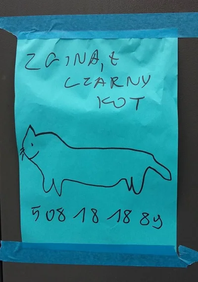 kucowaty_suchoklates - #poznan #ogloszenie #koty #humorobrazkowy