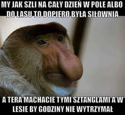 Mzil - #polak #mirkokoksy #silownia
