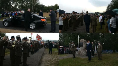 Ospen - Smutny materiał poglądowy.
Jeśli ktoś do tej pory nie wierzył w prasowe doni...