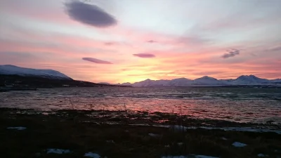 RoBee - W północnej Norwegii, Noc Polarna zmierza powoli ku swojemu końcu. Nie oznacz...