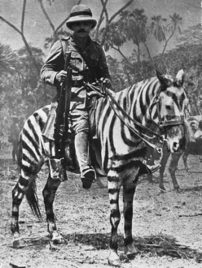 kono123 - I WŚ, 1915 r. Działania w Afryce wschodniej

#ciekawostki #ciekawostkihis...