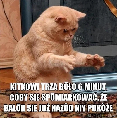 JednaZTychPrzekletychBestii - #heheszki #humorobrazkowy #smiesznekotki