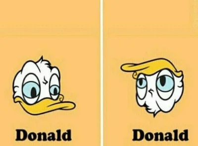 luczjano - #donald