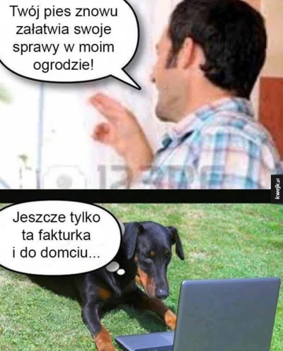 Ratusz1 - xD
#heheszki #smiesznypiesek #humorobrazkowy #pracbaza