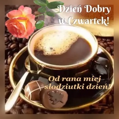 RudaMirabelka - Dzień dobry kochani!
#dziendobry #kawa #pijzwykopem #pracbaza