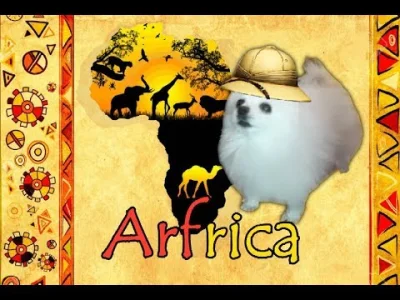 hatterka - #codziennetotoafrica #totoafrica #smiesznypiesek
