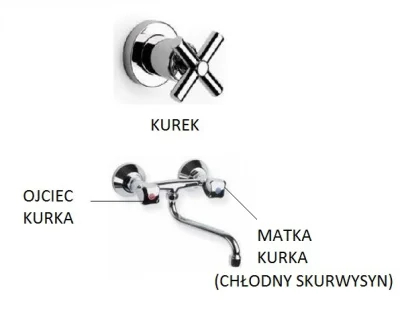 claudio1 - To ja jak zwykle przypomnę drzewo genealogiczne blogera Matka Kurka ( ͡° ͜...