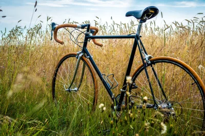 b.....k - @fixie: Lepszy rower buszujący w zbożu :)