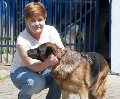 pk347 - "Hołd dla Premier Beaty Szydło" gdzie pisali o jedzeniu psów zniknął z Republ...
