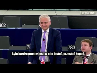 nikto - Patrick O’Flynn: Prawo dołków Healey'a .Wystąpienie w Parlamencie Europejskim...