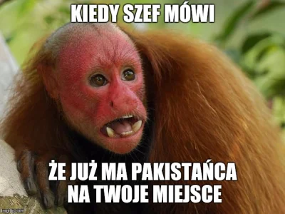 A.....y - #ukrainiec #humorobrazkowy
Podobno ukrainki wyjeżdżając do niemiec, więc t...