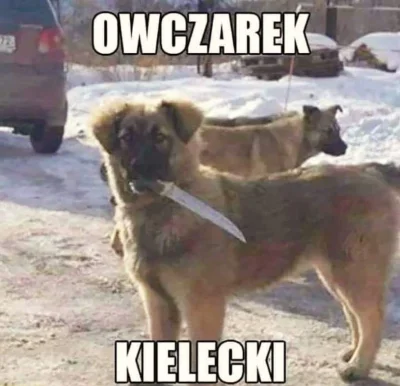 D.....1 - #humorobrazkowy #heheszki #pasjonaciubogiegozartu #suchar