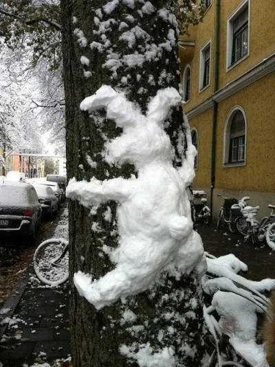 merti - #heheszki #humorobrazkowy #swietawielkanocne #kroliczek #snieg #rabbit #snow
...