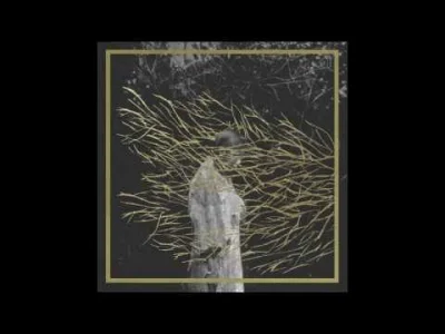 Weishaowang - #muzyka #mirkoelektronika #experimental

Forest Swords - Ljoss
A w P...