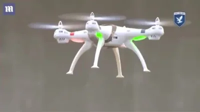 Mesk - Francuska policja szkoli orły by polowały na drony #gif #drony #zwierzaczki #t...