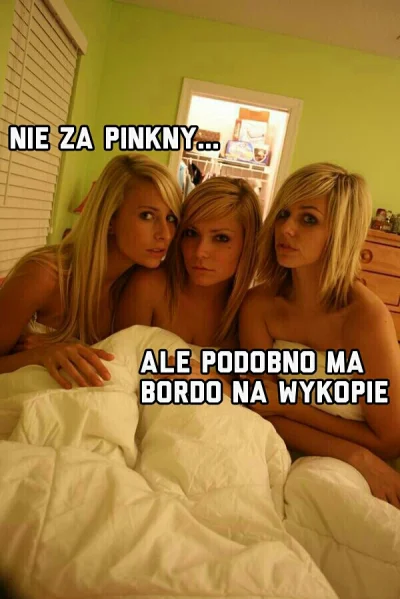 pogop - #heheszki #humorobrazkowy #pogopsuszy #bordo