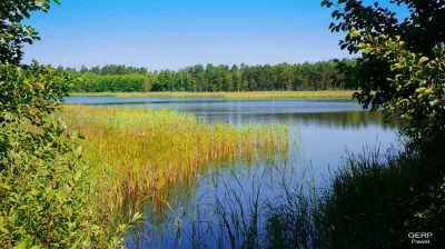 mactrix - Staw w Puszczy Solskiej na Roztoczu Południowym. Jedna z niezwykłych krain ...