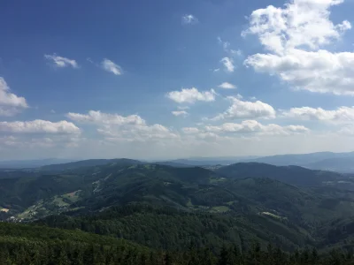 massu - Pozdro z Polski wy biedaki, cebulaki, robaki, nawet mi was nie żal ( ͡° ͜ʖ ͡°...