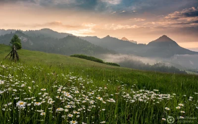 KamilZmc - Pienińska bajka o poranku.
Nikon D7200 + Nikkor 18-140, Exif: ISO100, 18m...