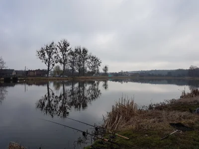 NiebieskaOsa - @saperq foto jest ale pokażmorde nie zrobię (｡◕‿‿◕｡) woda mała, karpie...