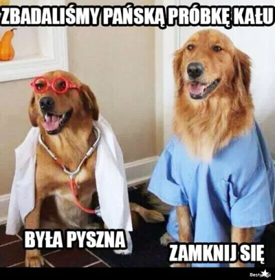 Pasozyt_Zawadiaka - #heheszki #humor #humorobrazkowy #zawszesmieszy #medycyna