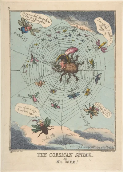 myrmekochoria - Thomas Rowlandson Korsykański pająk w swojej pajęczynie 1808 rok

R...